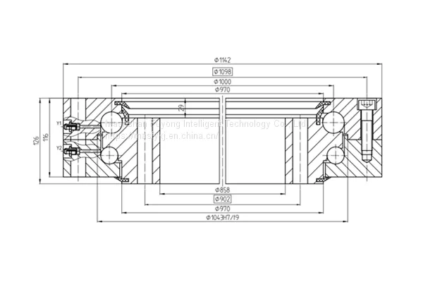 Double-Row Ball Type Slewing Ring 202108 photo-3