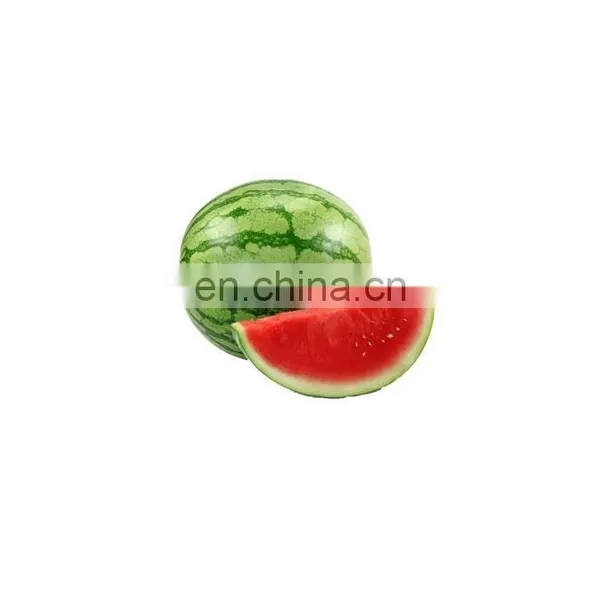 Spray Dried Soluble Watermelon Fruit Juice Powder photo-2