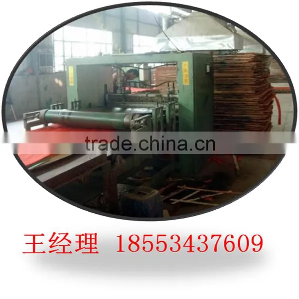 Malaysia Packing Usage Poplar LVL for Sales/poplar LVL for Packing photo-6