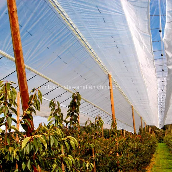100% Virgin Material and Mould Plastic Anti Hail Net photo-2