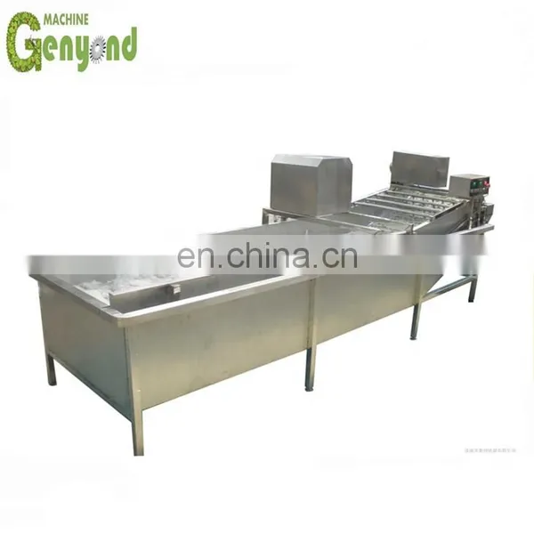 Potato Washing and Sorting Machine photo-2