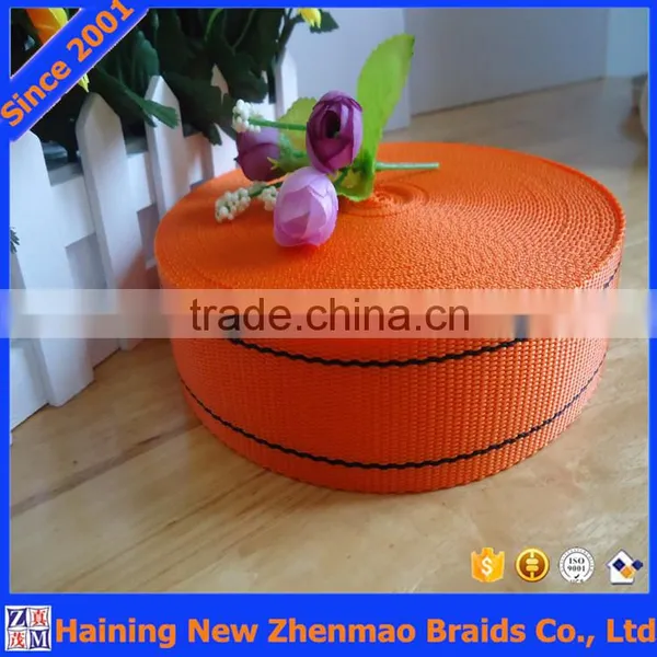 Durable Colorful PP Polypropylene Webbing Band photo-4