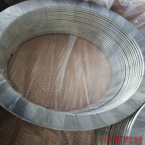 Spiral Wound Gasket With Outer Ring 304ss photo-4