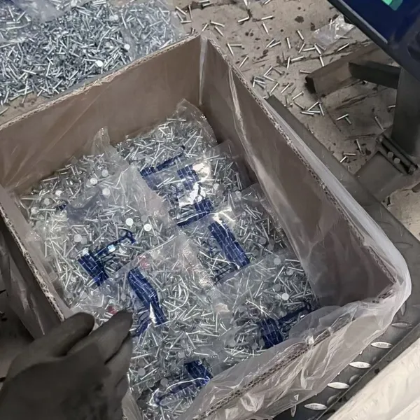 Hot-Dipped Galvanized Clout Head Nails for Industrial Use 1kg/bag Custom Orders photo-5
