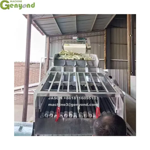 Genyond Factory Industrial Green Corn Peeler Machine Corn Sheller Machine For Sale photo-3