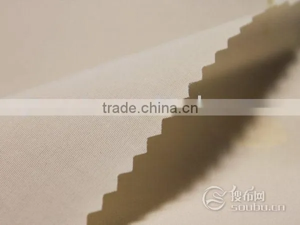 100% Nylon Taslan/wrinkled Nylon Taslan/196t Waterproof Nylon Taslan