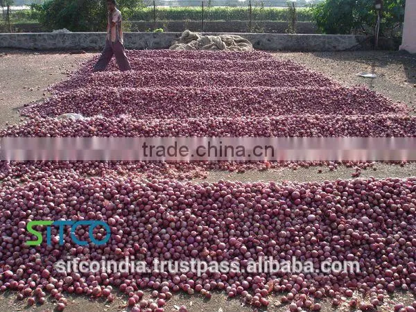 ONION photo-6
