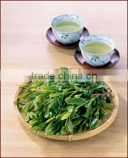 OOLONG TEA