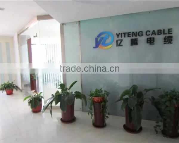Yiteng Cable Technology Hebei Co., Ltd. company overview - view 2