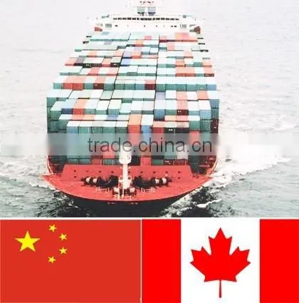 International Ocean Freight Ningbo to Toronto/canada photo-2
