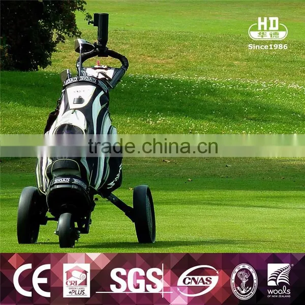 China Suppliers Newest Design Top Quality PE Artificial Turf Grass For Golf photo-3