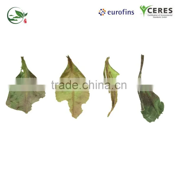 Germany CERES Organic Certified Imperial White Peony ( Bai Mu Dan ) Tea photo-2