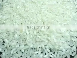 20% Broken Vietnamese Long Grain White Rice