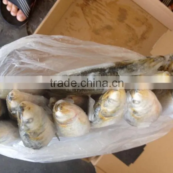 Frozen Seafood Frozen Sardine photo-2