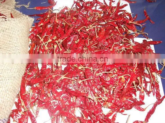 Single Herbs & Spices Product Type and Dried Style Red Chilli. photo-2