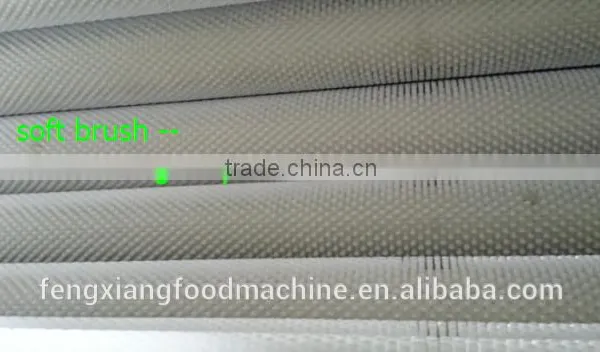 Ginger / Potato / Taro / Sweet Potato / Carrot Peeling & Washing Machine Turnip Polishing Equipment photo-6