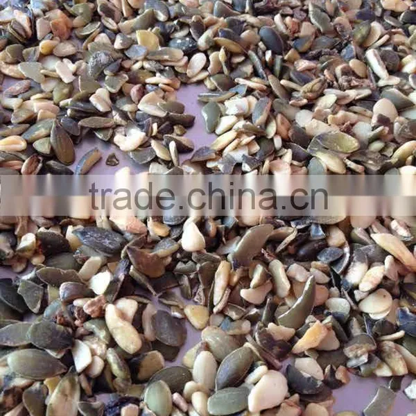 Broken Pumpkin Seeds Price GWS Oil Grade photo-3
