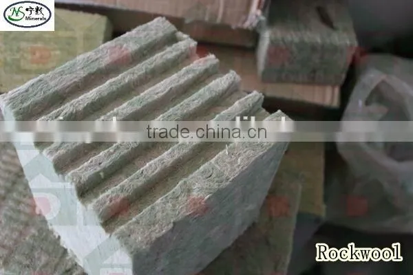 Seed Planter Hydroponic Rockwool photo-5
