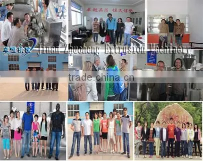 Industrial Snack Pellet Making Machine Line for Sale photo-6
