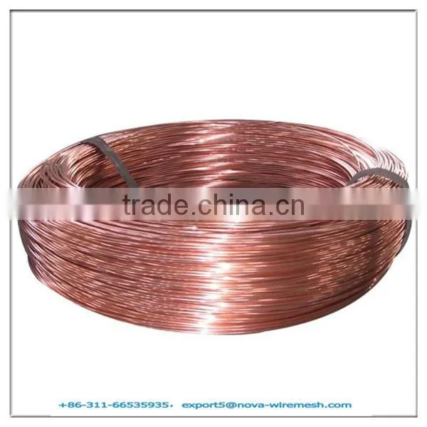 Bronze Wire / Bronze Stainless Steel Wire / Bronze Alloy Wire for Fence photo-2