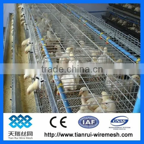 Hot Sale Good Quality Layer Chicken Cage For Poultry Farm photo-6