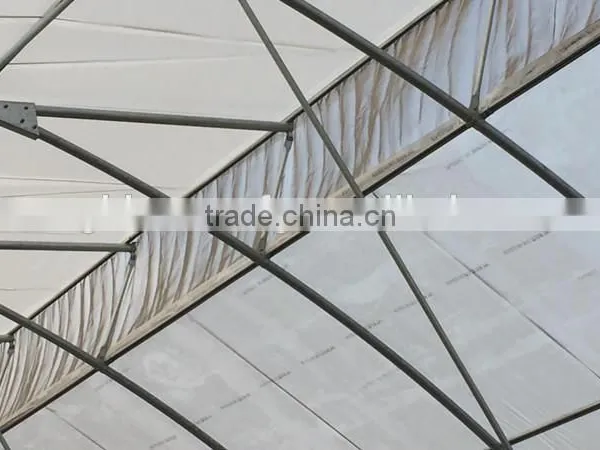 Multi Span Flower Greenhouse Natural Ventilation Greenhouses photo-3