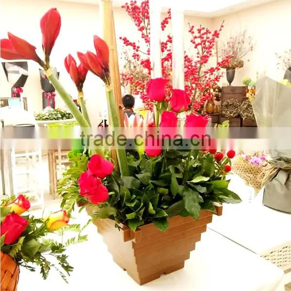 310*210 Biodegradable Colorful Plant Fiber Flower Pot photo-4