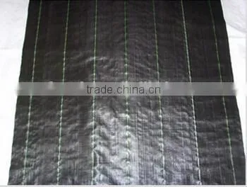 Spunbonded Polypropylene Nonwoven Fabric photo-2