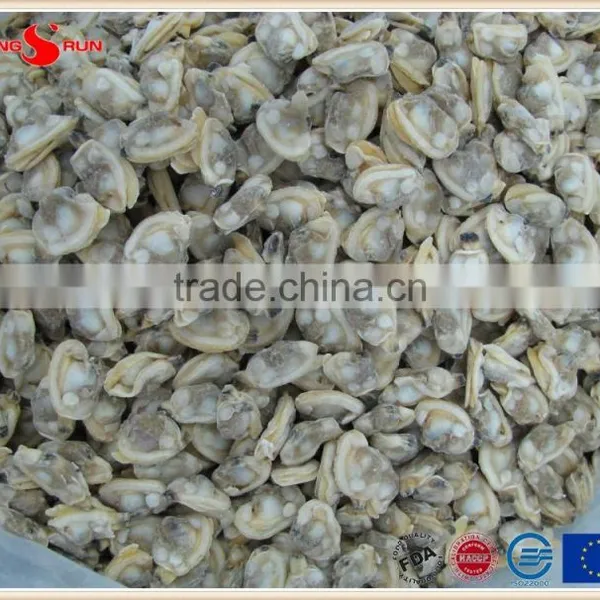 Grade A Standard IQF Baby Clam Meat photo-5