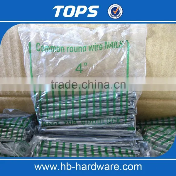 Polish Common Nail Iron Nail Factory photo-5