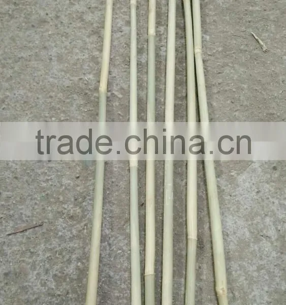 8~10mm * 120cm Dried Tonkin Bamboo Sticks photo-3