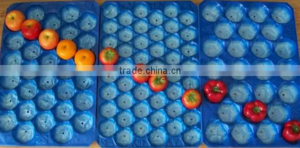 SGS Certificate Pure Material Made Plastic Packaging Inner Tray photo-3