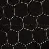 Hexagonal Wire Mesh Supplier