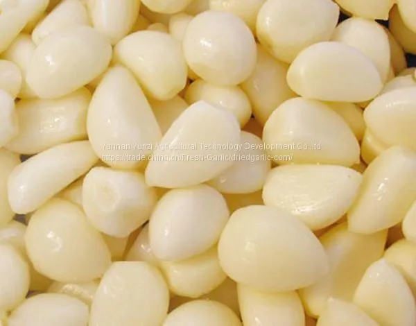 Garlic clove