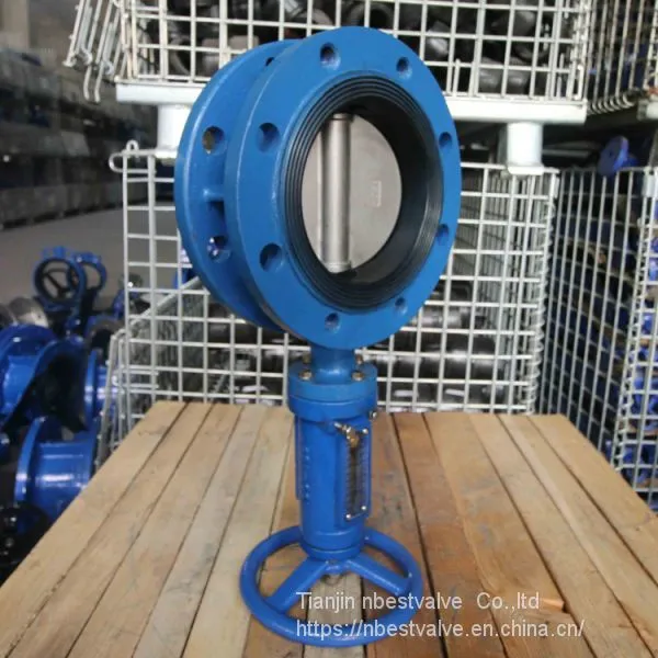 VERTICAL WORM GEAR FLANGE BUTTERFLY VALVE