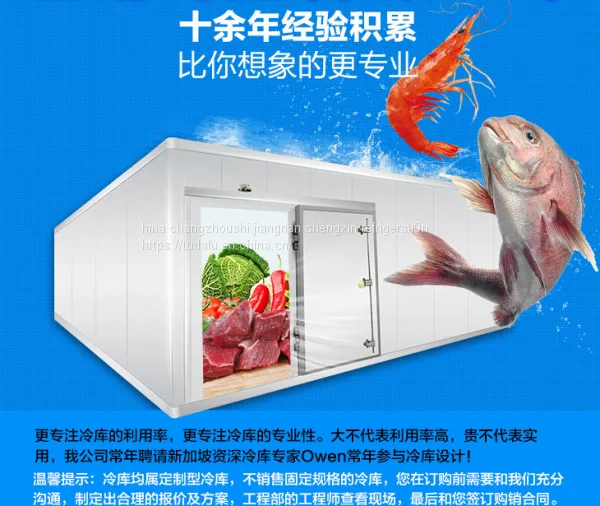 Техники и методы хранения готовой продукции из цветной капусты в холодильной камере. Камера холодильной для хранения свежего продукта: