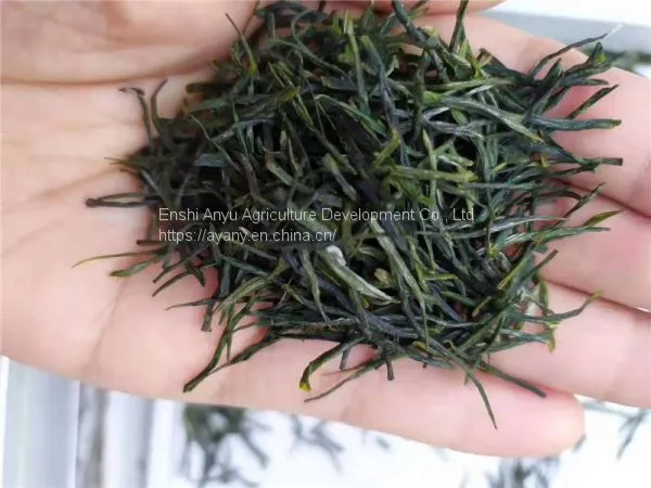 Hubei Enshi Se-rich Tea Produced and Sold by Oneself Fried Green Tea Commercial Gift Wholesale Enshi Yulu photo-4