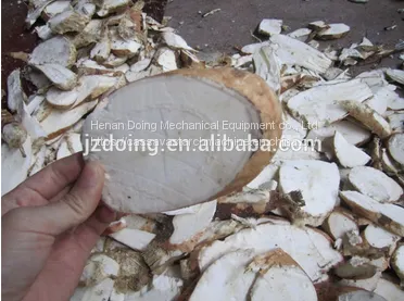 Large Capacity Cassava Slicer Used for Cassava Processing photo-3
