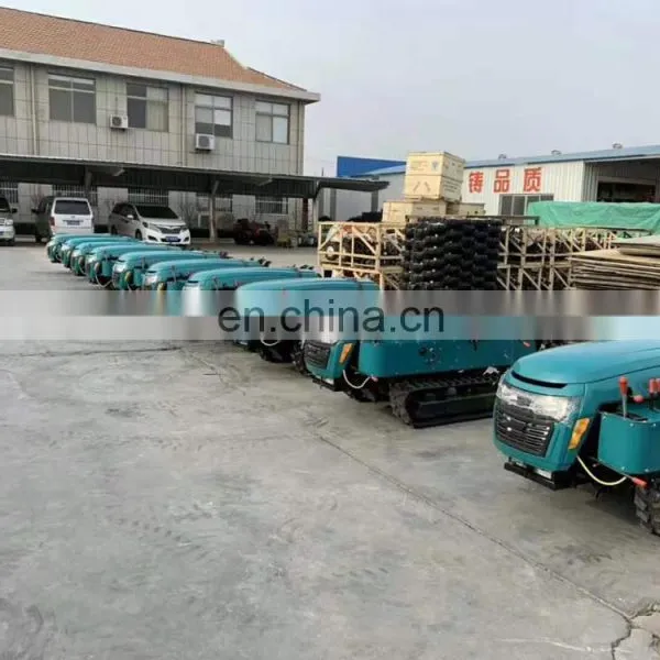 Tiller Diesel Cultivator Cultivators Agricultural for Sale photo-4