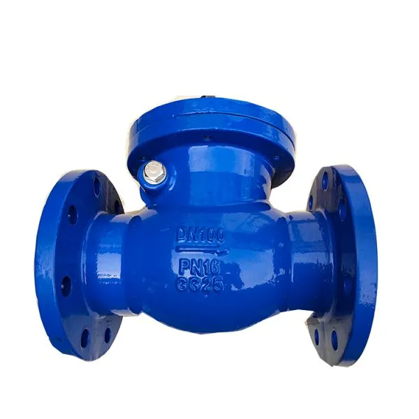 Cast Iron CLASS 150 LB Flange Swing Check Valve photo-2