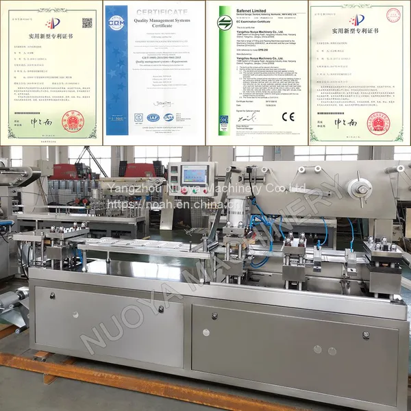 DPB-250 Flat Plate Tablet Capsule Liquid Honey Blister Packaging Machine photo-5