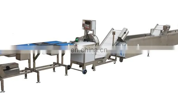 Stainless Steel Apple/pear/mango/fruit/vegetable Washing/cleaning/processing Machine/equipment photo-5