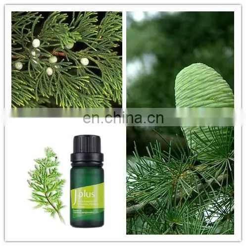 Electric Essential Oil Distillation Machine photo-5