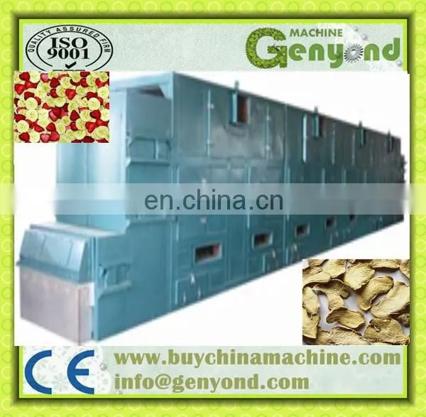 Ginger Drying Machine photo-2