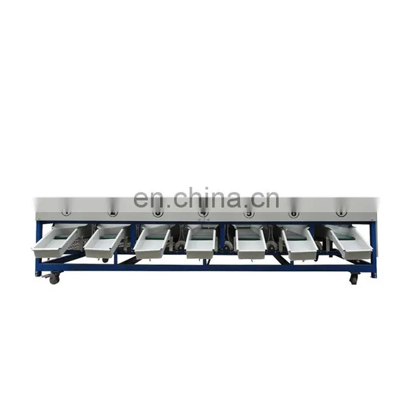 Apricot Sorting Machine/cherry Sorting Machine/mango Sorting Machine for Sale photo-3