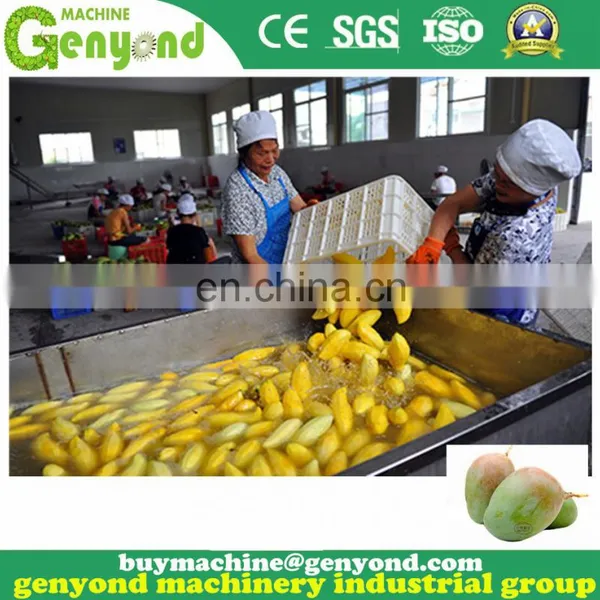 Complete Mango Jam Paste Puree Processing Plant photo-2