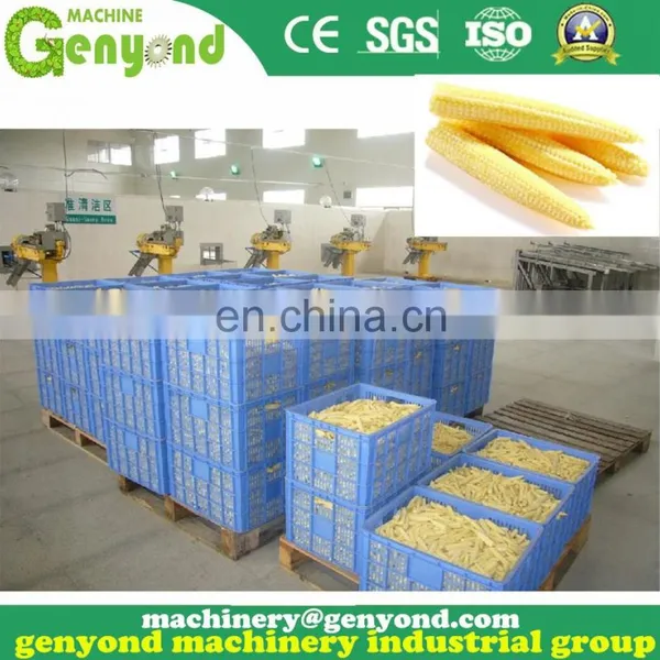Factory Genyond Professional Carrot Cucumber Pickles Pickled Onion Canning Equipment Machine Production Line Processing Plant photo-3