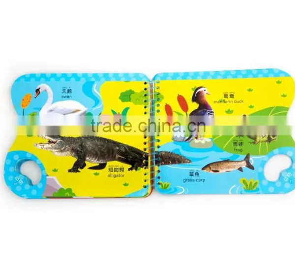 Plastic Comb Binding Used Childrens Books photo-5