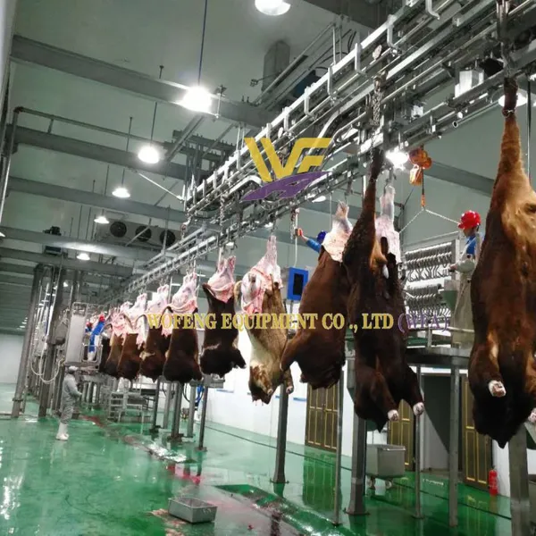 Cattle Slaughter Machine Beef Slaughtering Equipment Abattoir Processing Machinery photo-2