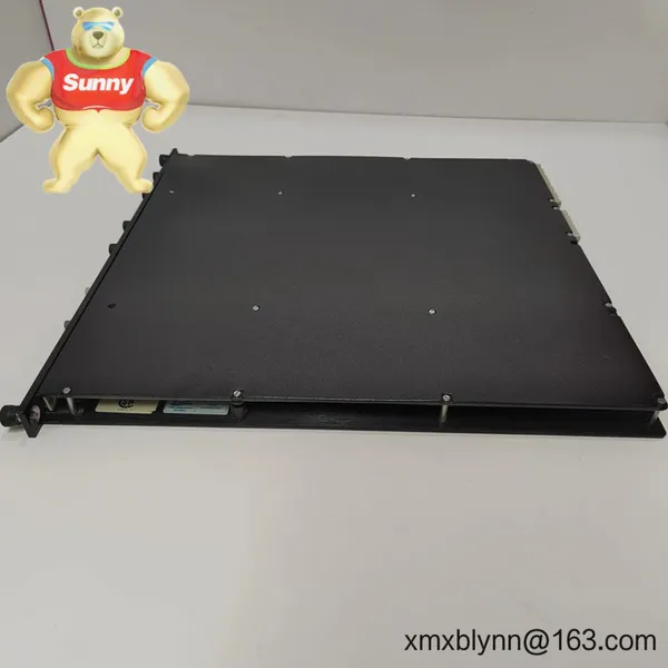 TRICONEX 4200 – Field Termination Assembly for Reliable Tricon TMR I/O Wiring photo-2